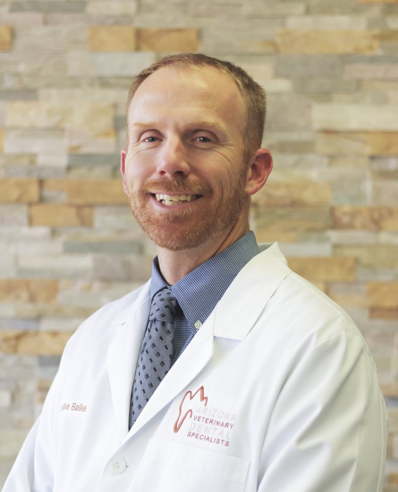 Arizona Veterinary Dental Specialists 14 Photos & 24 Reviews