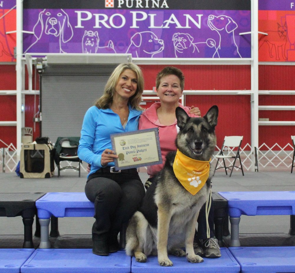 Therapy Dog Training Conway Ar Therapy Dog Training Conway Ar