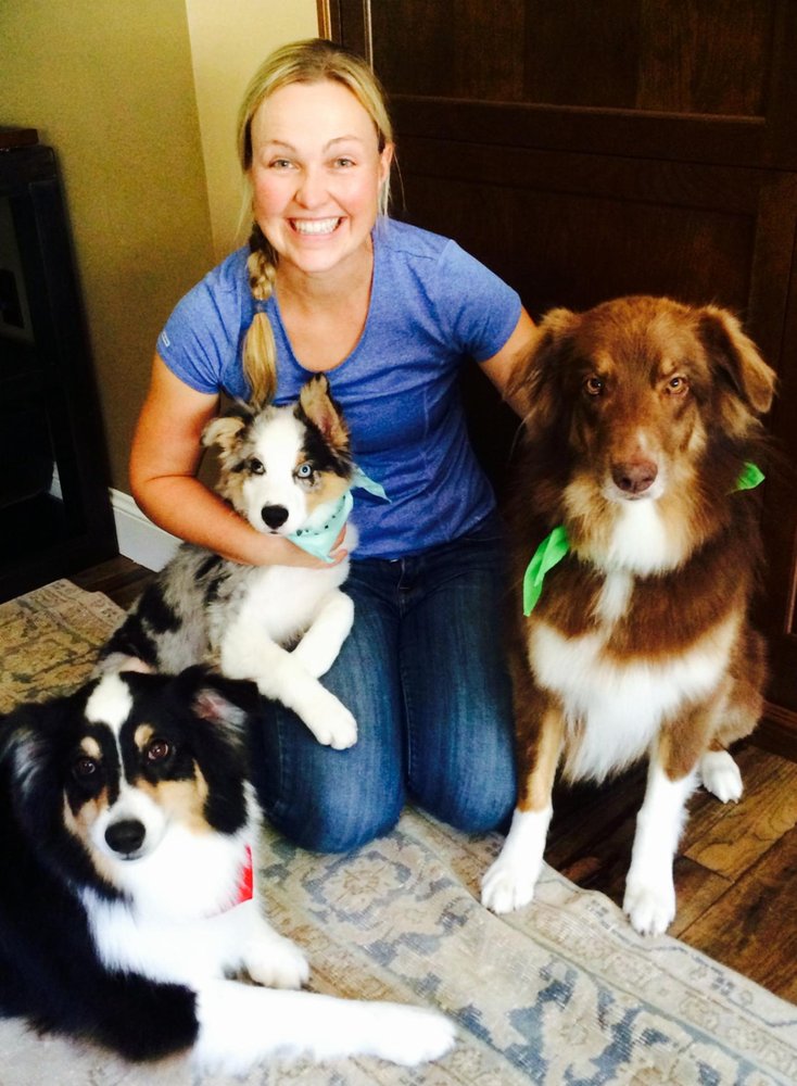 Mobile Dog Grooming Mountain View Mobile Dog Grooming Mountain View