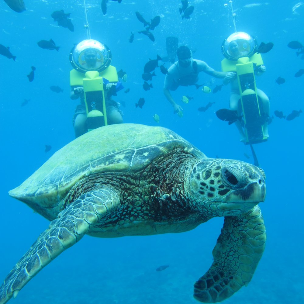 Island Water Sports Hawaii 162 Photos & 174 Reviews Boating 377