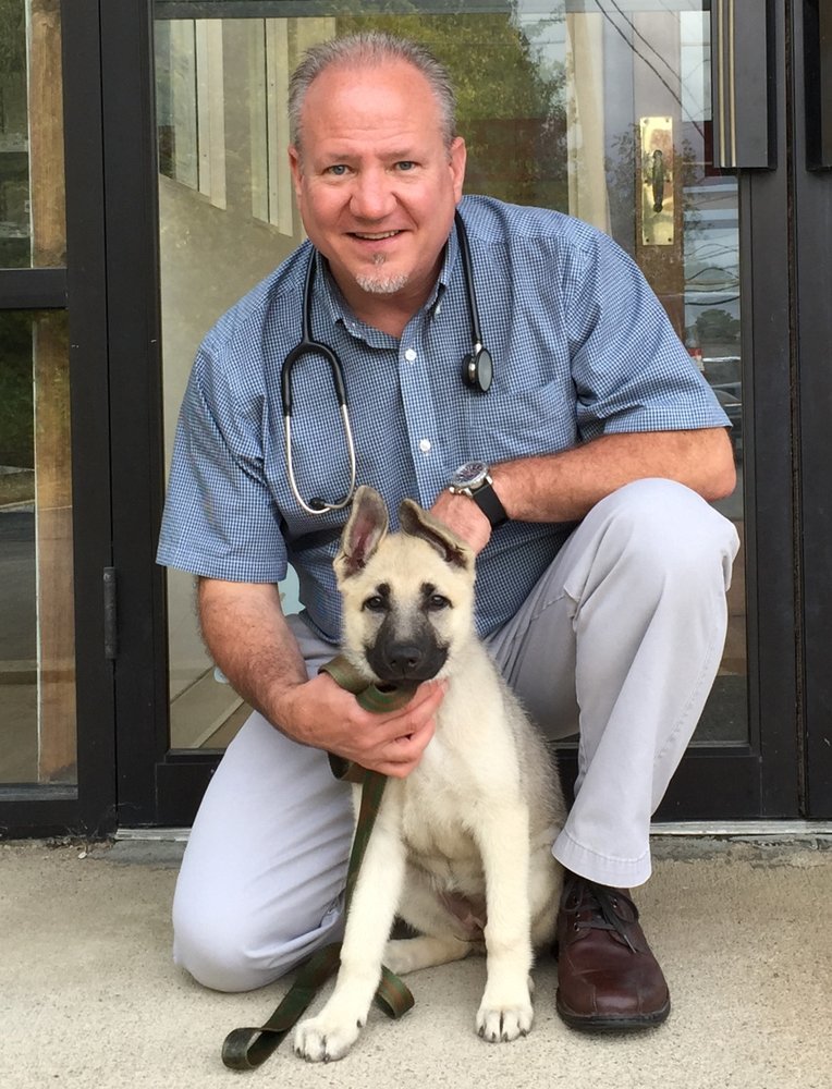 NorthPaws Veterinary Center 51 Photos & 31 Reviews Veterinarians 564 Putnam Pike
