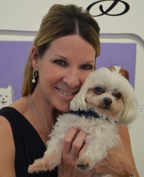 Winston Dog CLOSED 19 Photos Pet Groomers 4017 Hillsboro Pike, Green Hills, Nashville