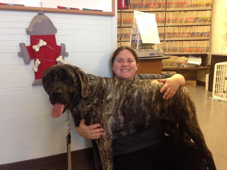 Vacaville Animal Care Center 83 Photos & 31 Reviews Veterinarians