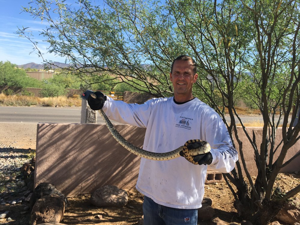 Arizona Junk Removal 22 Photos & 22 Reviews Junk Removal & Hauling 5115 N Dysart Rd