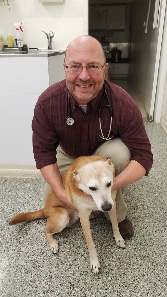 St. Johns Animal Clinic Veterinarians 4137 S US Hwy 27, Saint Johns