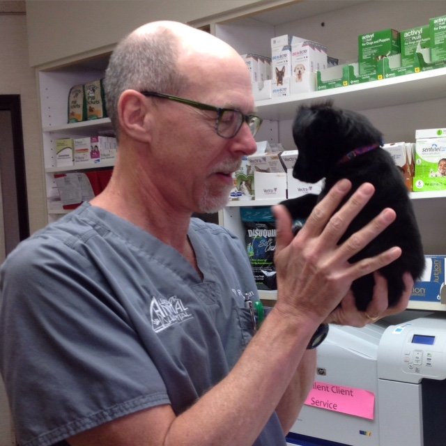 Harbor Animal Hospital 89 Photos & 97 Reviews Veterinarians 2078