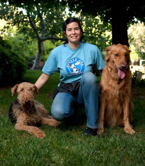Image Result For Dog Training Classes Sango Ca Image Result For Dog Training Classes Sango Ca