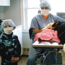 Remarkable Healthy Pet Clinic Syracuse Ny Photos