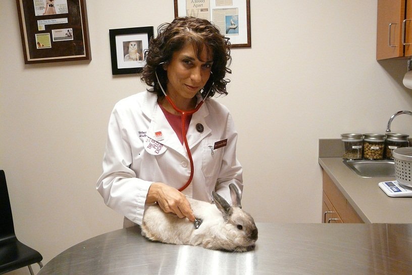 Veterinary Center for Birds & Exotics 2019 All You Need to Know