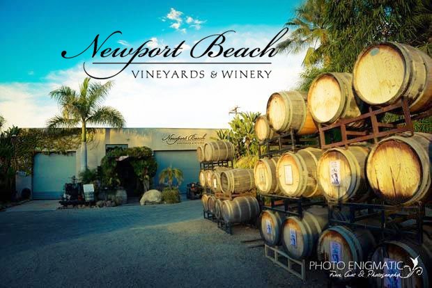 Newport Beach Vineyards Winery The Best Beaches In World Newport Beach Vineyards Winery 62 Photos 20 Reviews