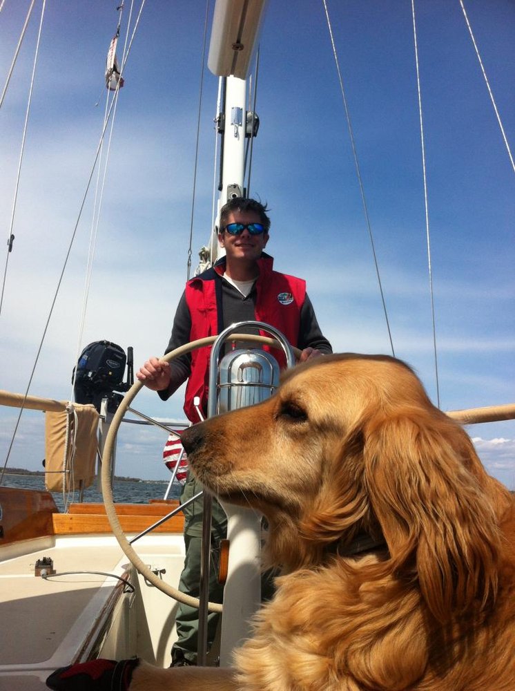 Harbor Animal Hospital 17 Reviews Veterinarians 288