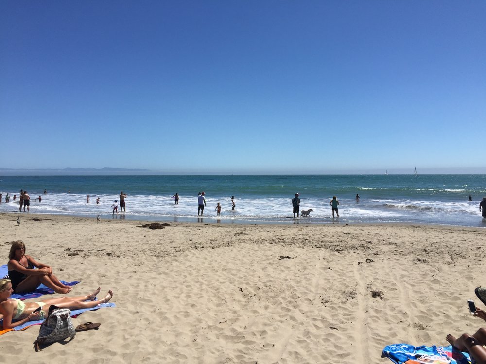 Alder Park Apartments 13 Photos Apartments 3670