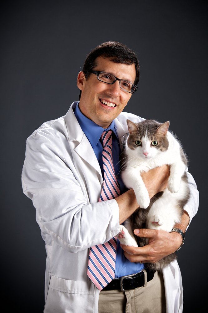 West Loop Veterinary Care 36 Photos &amp; 215 Reviews