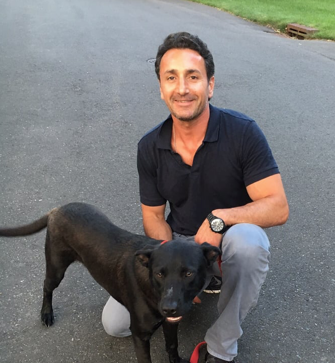Dog Training Stamford Ct Dog Training Stamford Ct
