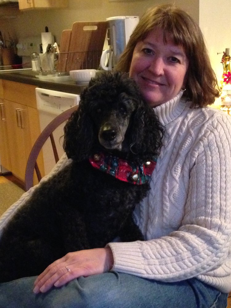 Ian The Dog Trainer Reviews Ian The Dog Trainer Reviews