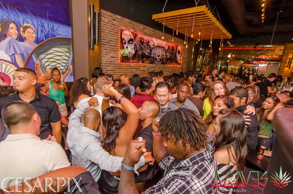 Agaves Bar Long Beach Travel Guide