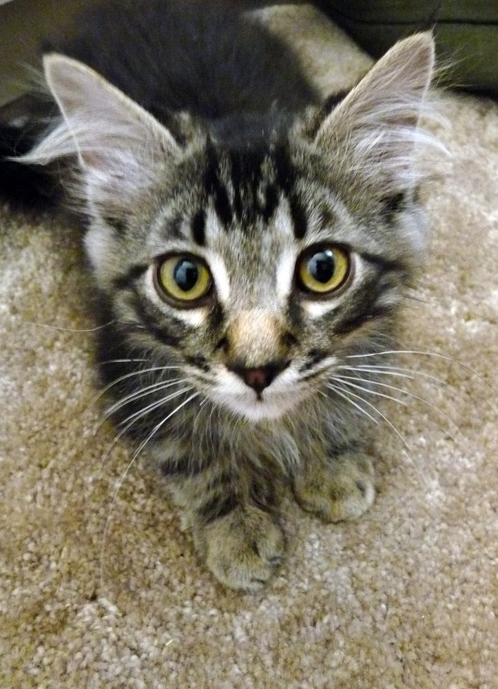 reviewer-profile-image