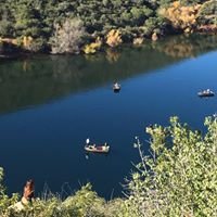 reviewer-profile-image