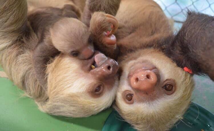 reviewer-profile-image