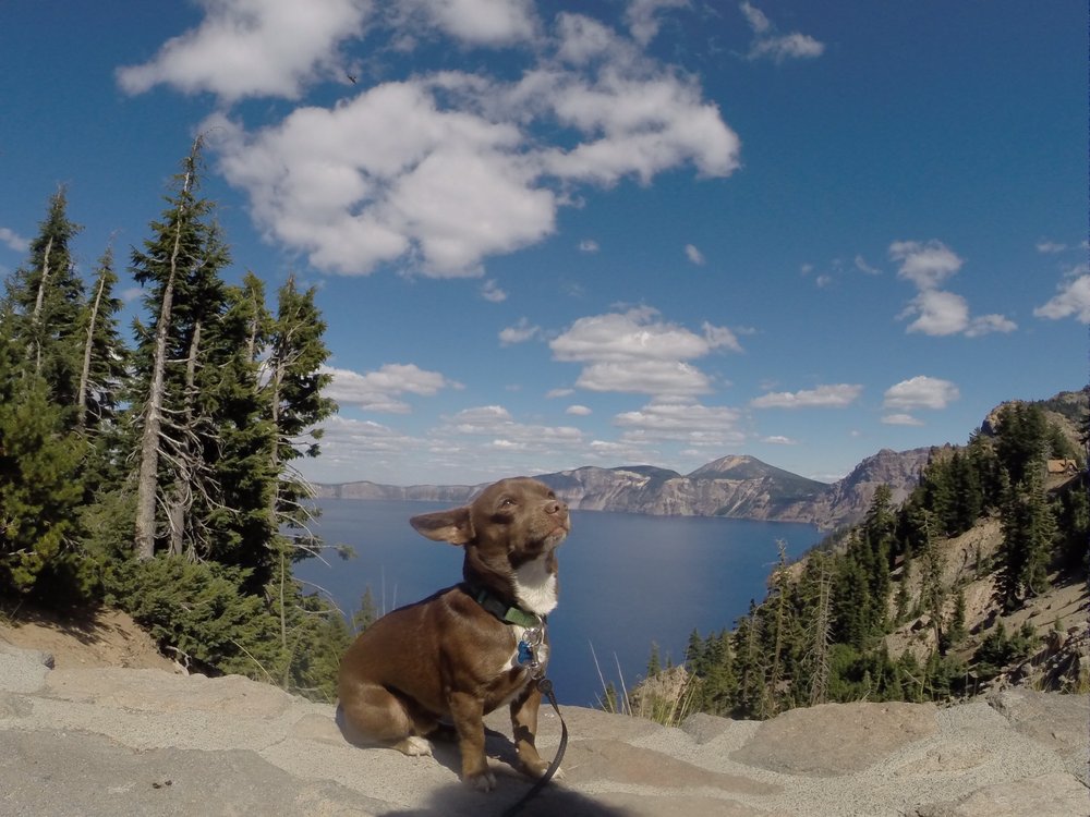 reviewer-profile-image