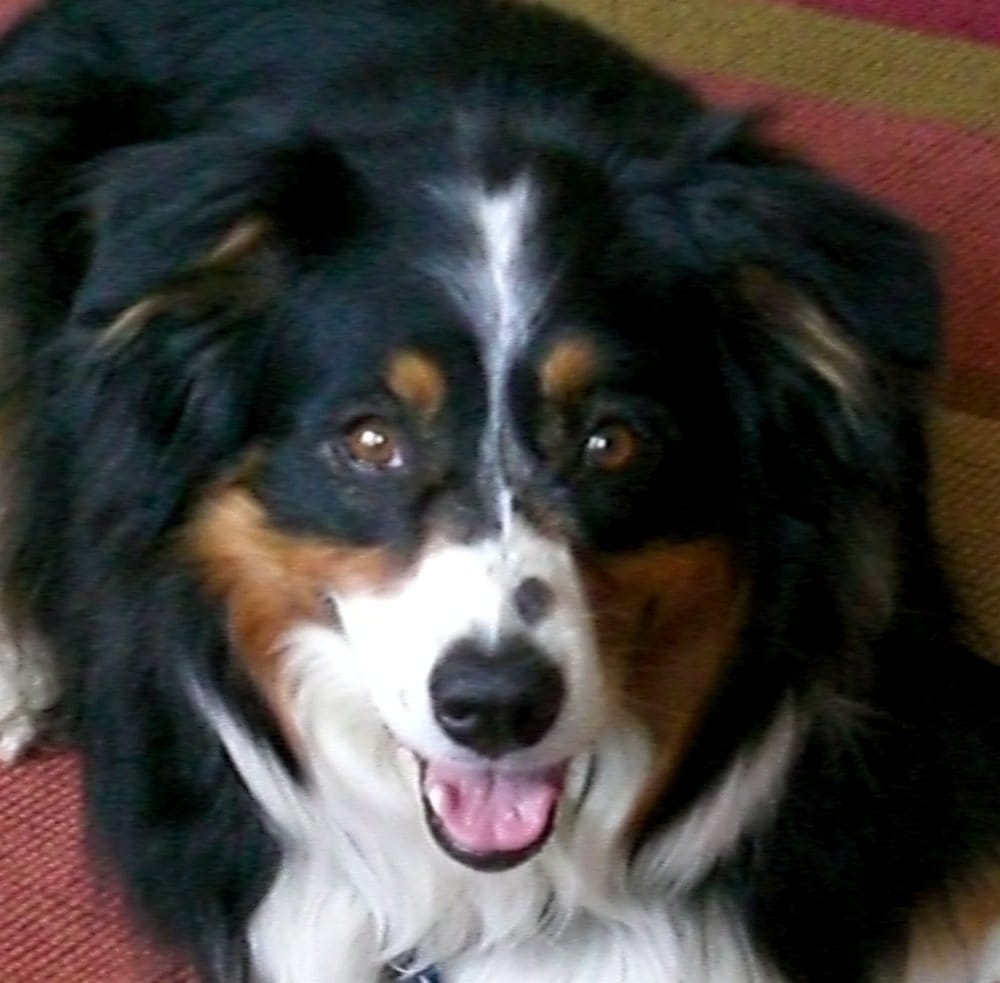 reviewer-profile-image