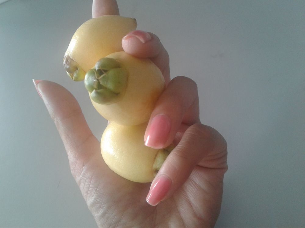 reviewer-profile-image