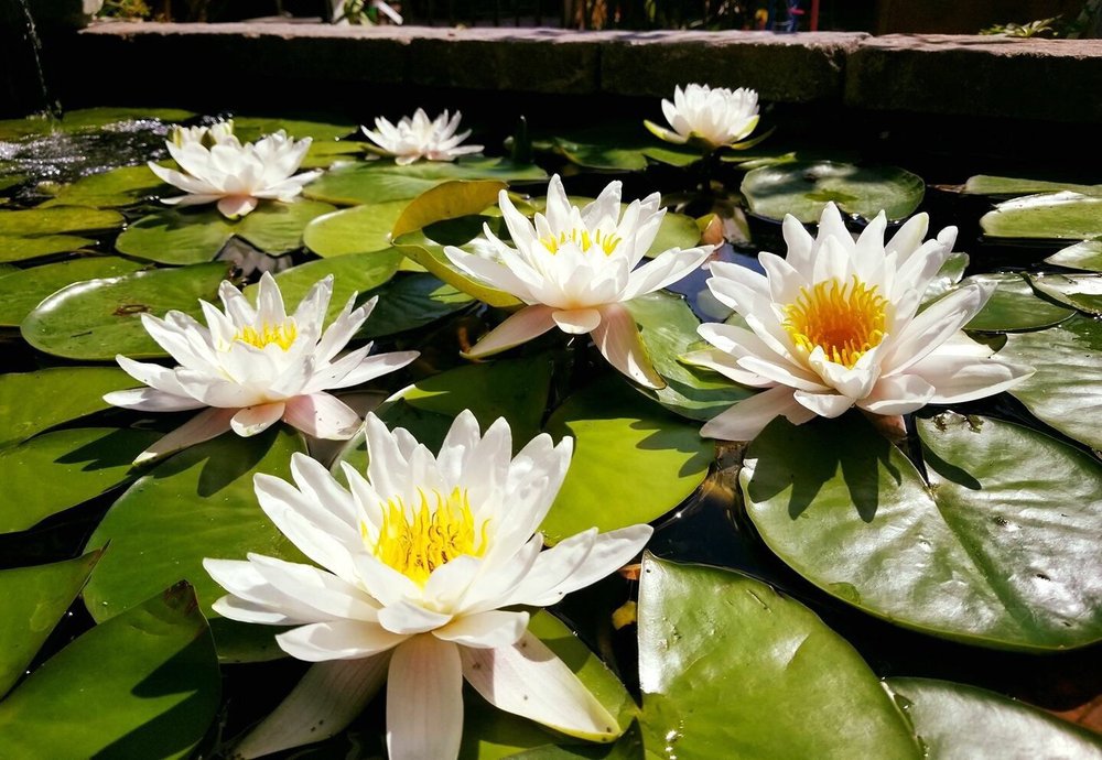 reviewer-profile-image