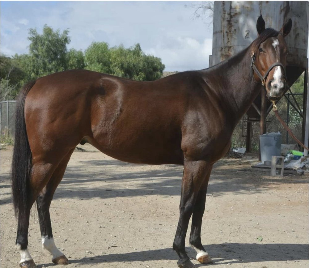 reviewer-profile-image