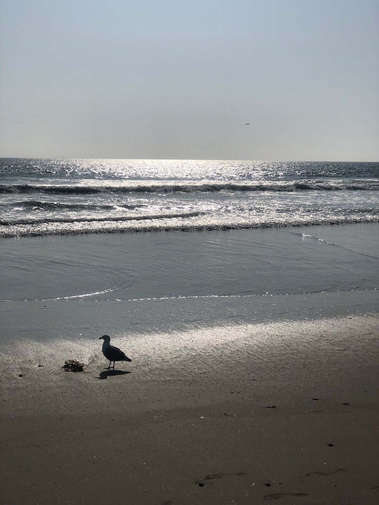 reviewer-profile-image