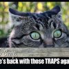 , Reviews