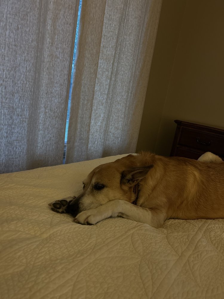 reviewer-profile-image