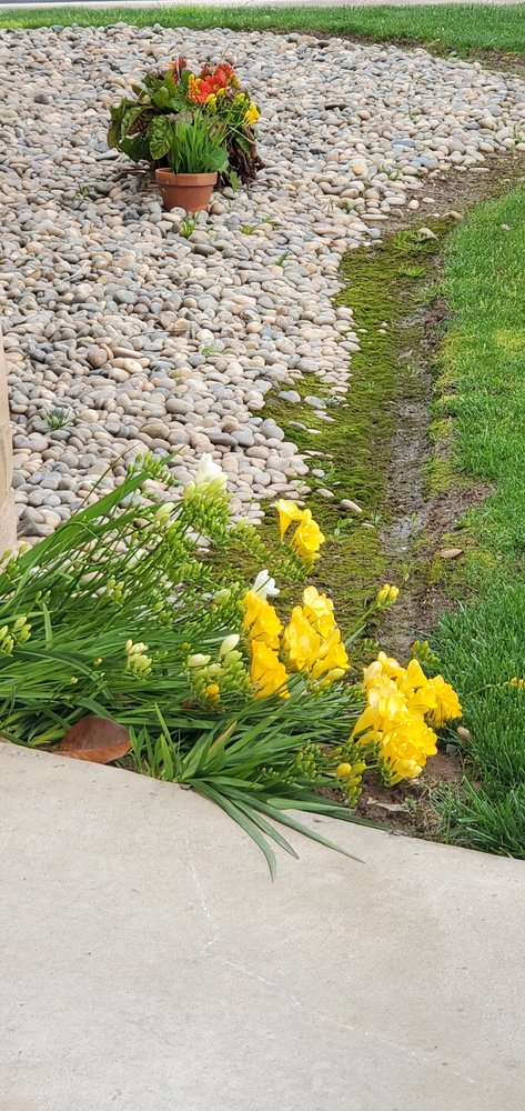 reviewer-profile-image