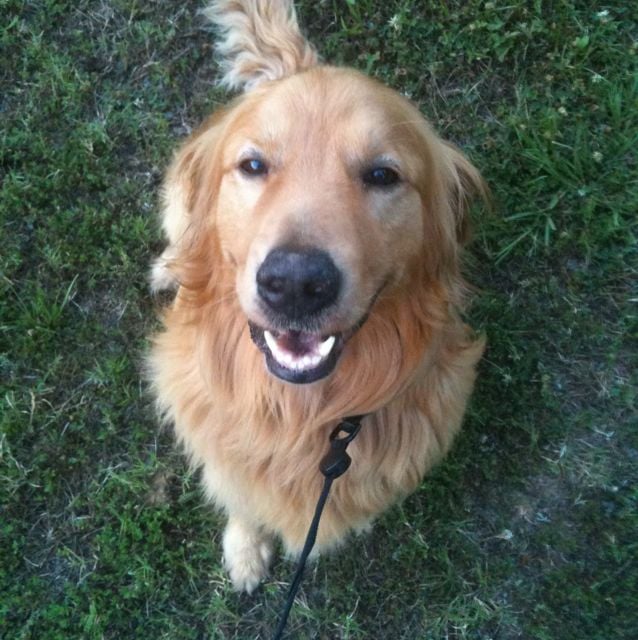 reviewer-profile-image