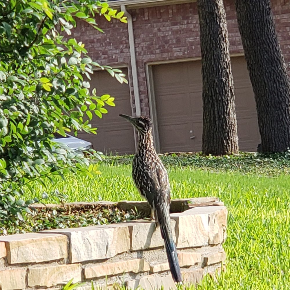 reviewer-profile-image