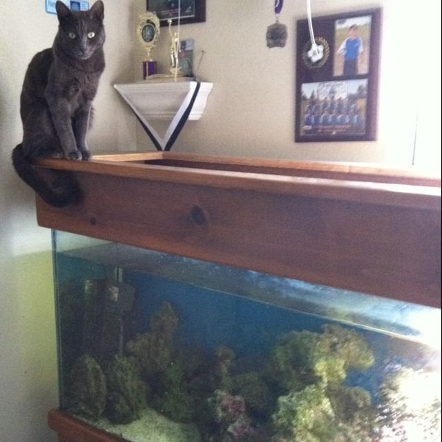 reviewer-profile-image