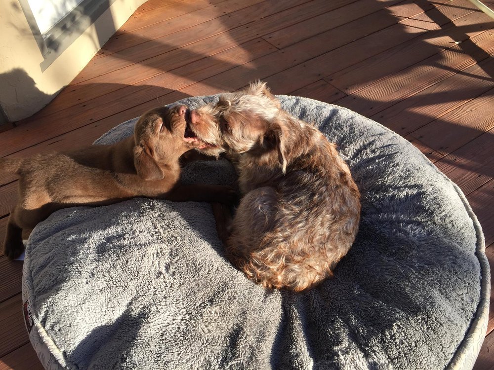 reviewer-profile-image