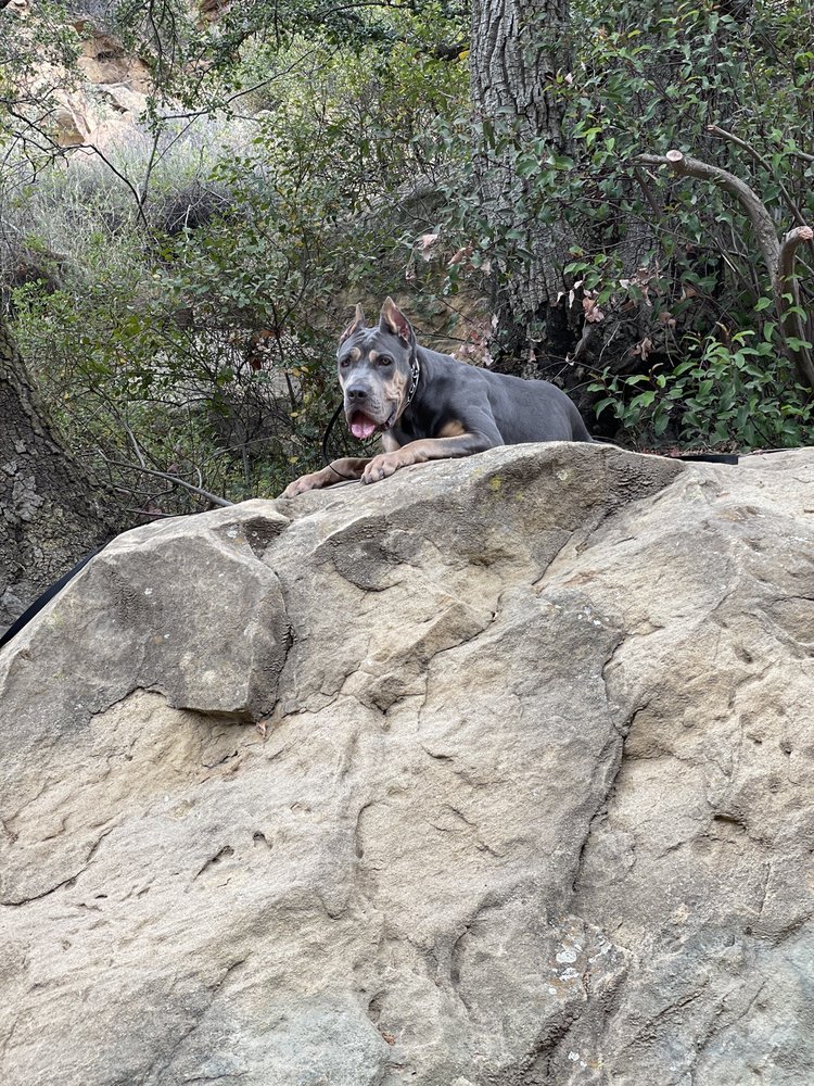 reviewer-profile-image