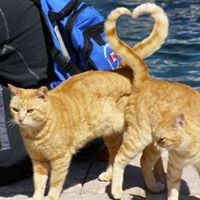 reviewer-profile-image