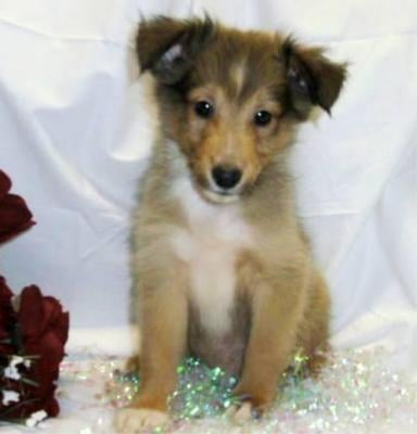 reviewer-profile-image