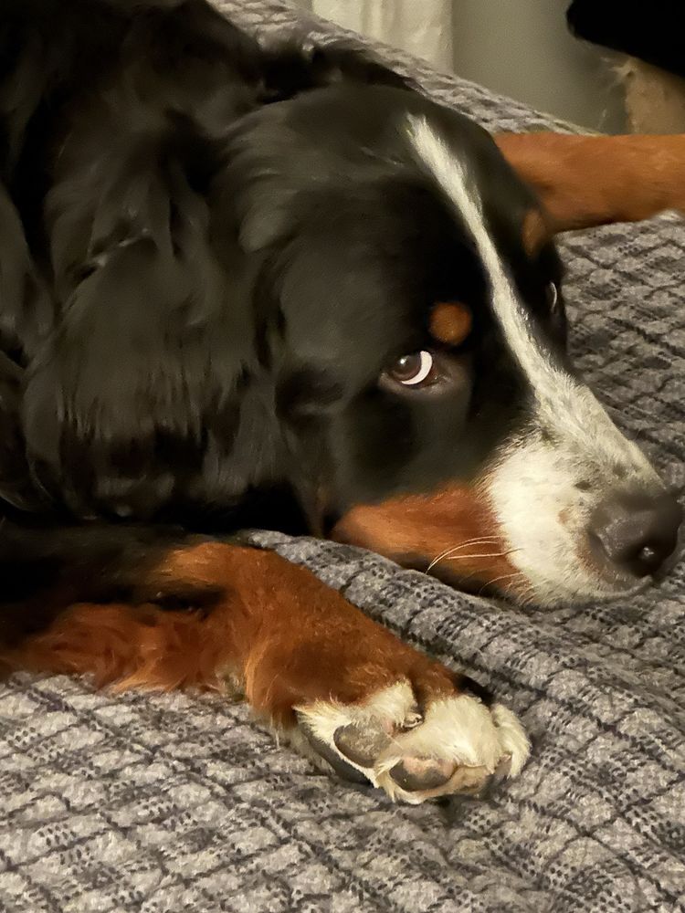 reviewer-profile-image