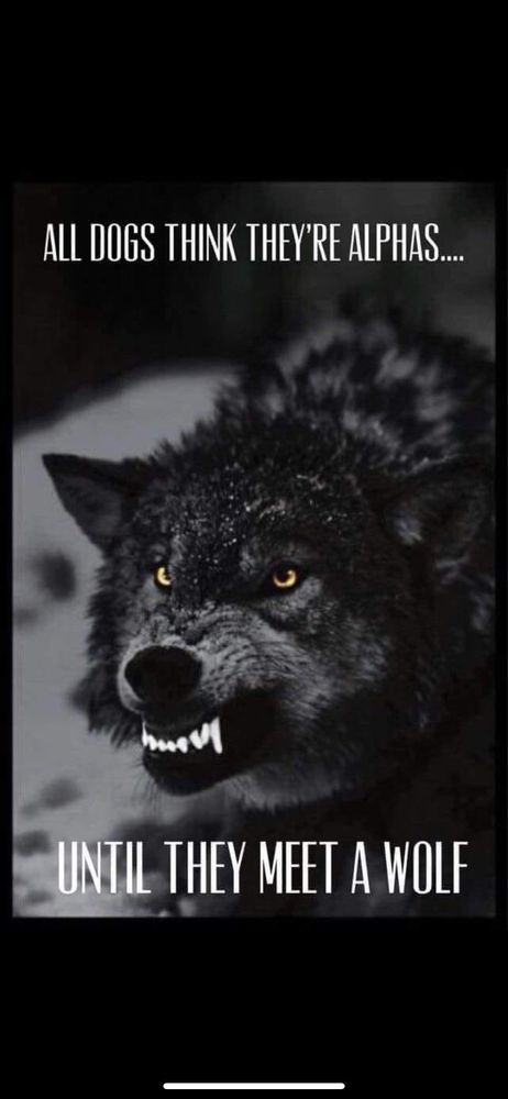 reviewer-profile-image