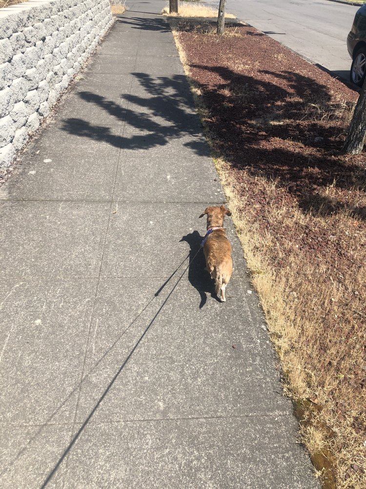 reviewer-profile-image