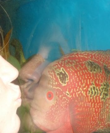 reviewer-profile-image