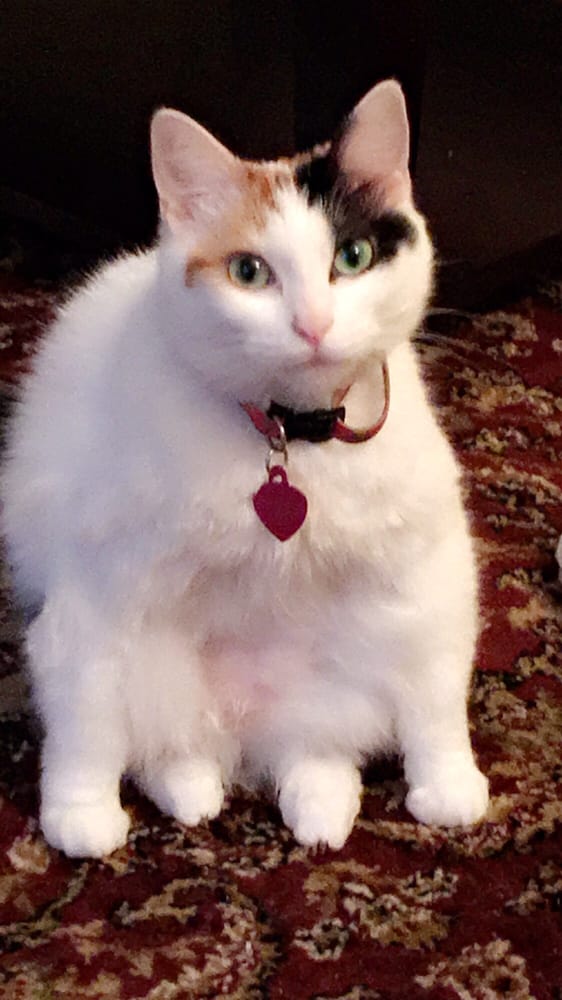 reviewer-profile-image