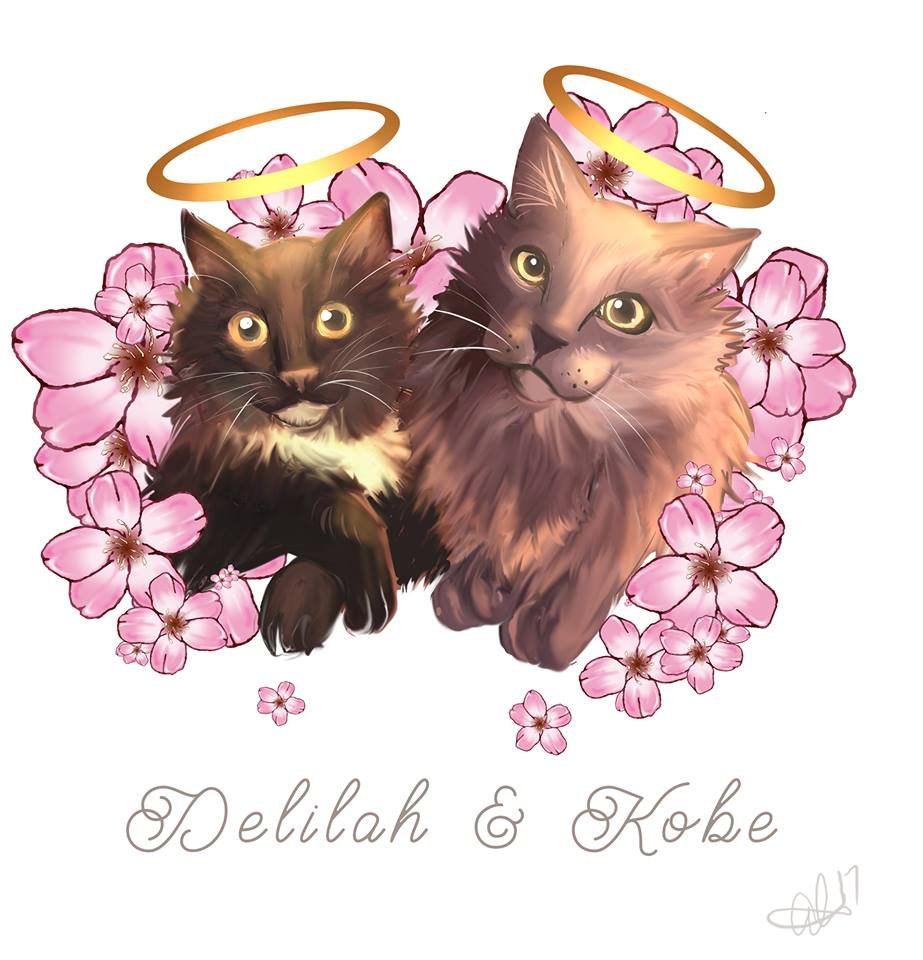 reviewer-profile-image