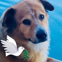 reviewer-profile-image