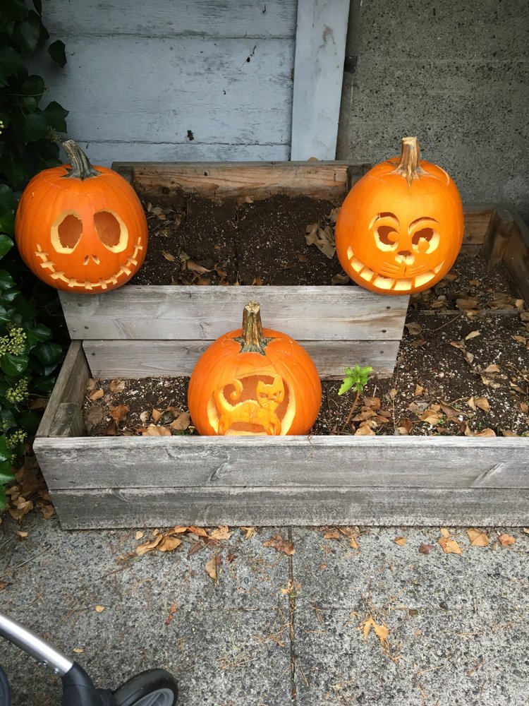 reviewer-profile-image