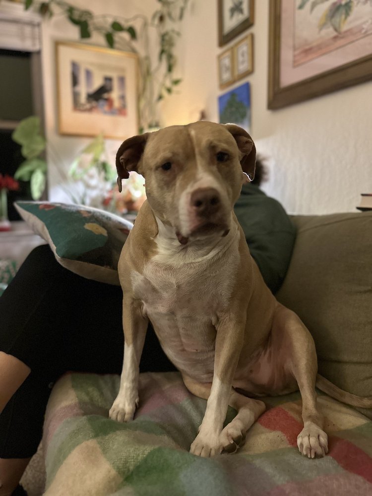 reviewer-profile-image