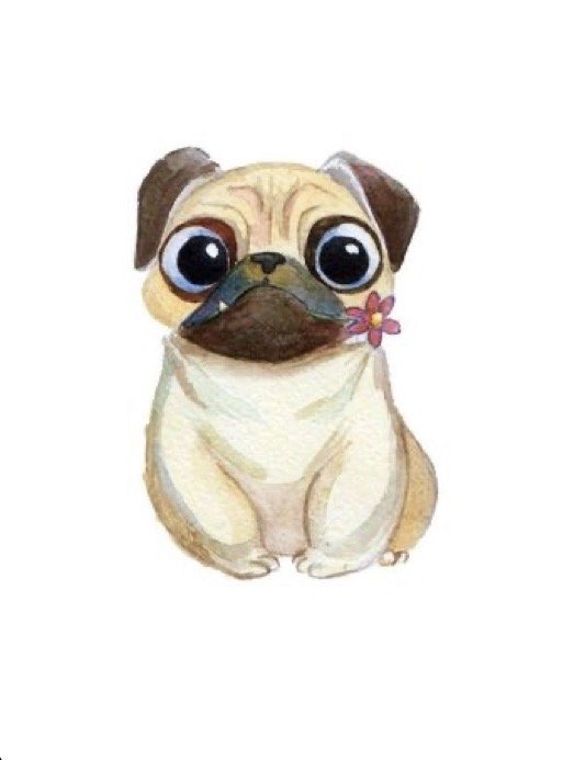 reviewer-profile-image