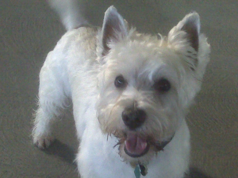 reviewer-profile-image